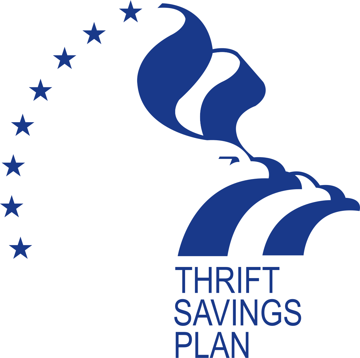 Thrift Savings Plan   American Benefit Advisors